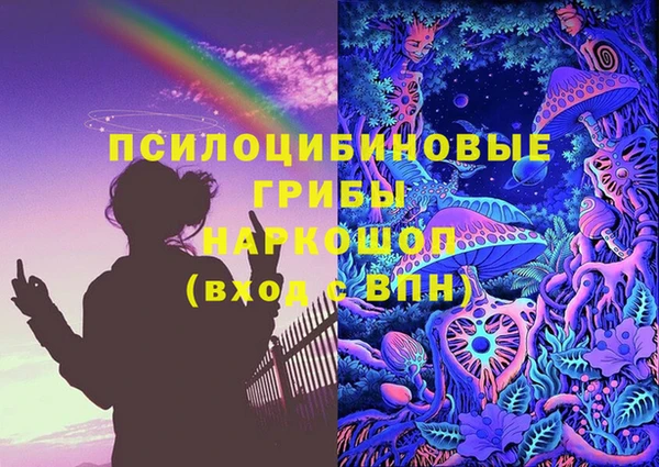 прущие крисы Бородино