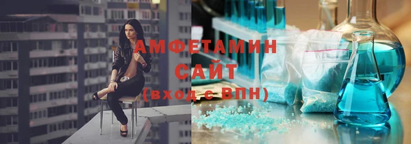 прущие крисы Бородино
