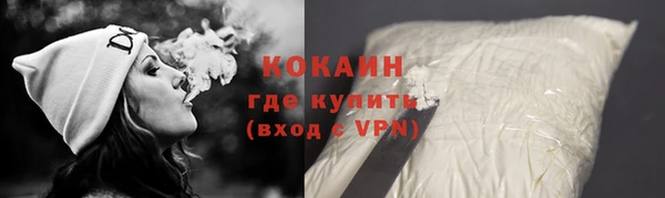 прущие крисы Бородино