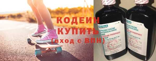 прущие крисы Бородино